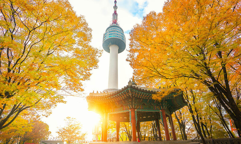 THY DİREK UÇUŞLU GÜNEY KORE TURU 5 GECE 7 GÜN