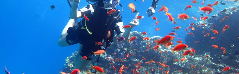 SHARM EL SHEIKH TURU 3 GECE 4 GÜN HER ÇARŞAMBA HAREKET