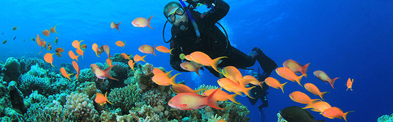 SHARM EL SHEIKH VE PİRAMİTLER TURU 6 GECE 7 GÜN