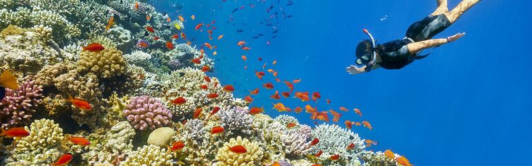 BAYRAMA ÖZEL SHARM EL SHEİKH TURU 4 GECE 5 GÜN