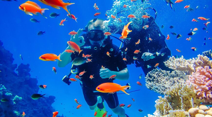 SÖMESTRE ÖZEL SHARM EL SHEİKH TURU 3 GECE 4 GÜN