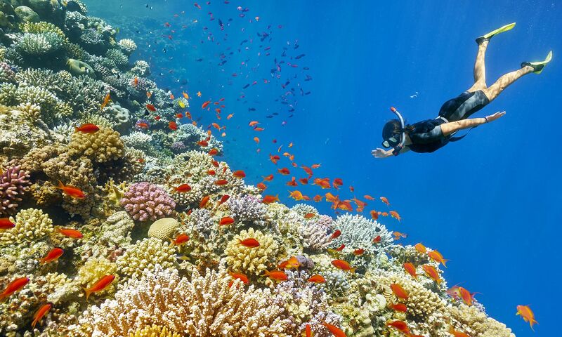 ANKARA ÇIKIŞLI BAYRAM ÖZEL SHARM EL SHEIKH TURU 3 GECE 4 GÜN