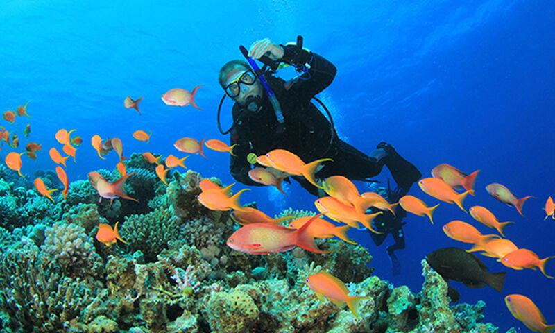 ANTALYA ÇIKIŞLI ÇÖL RÜZGARLARI-ANTİK MİRASLAR MISIR VE ÜRDÜN (PETRA ANTİK KENT) TURU 7 GECE 8 GÜN