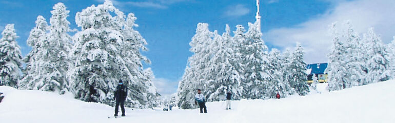 HER GÜN KESİN HAREKETLİ ULUDAĞ KAYAK TURU