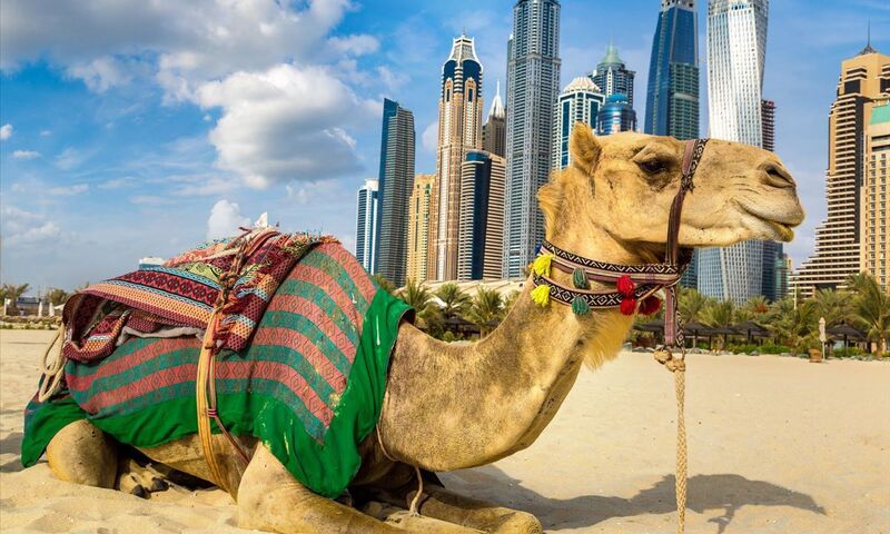 Ankara Hareketli Çölün Ortasındaki Vaha Dubai Turu  Legoland Eğlencesi Çocuklara Ücretsiz Vize İmkanı  Southwind Hava Yolları ile  Dubai Şehir Turu Dahil 4 Gece 5 Gün